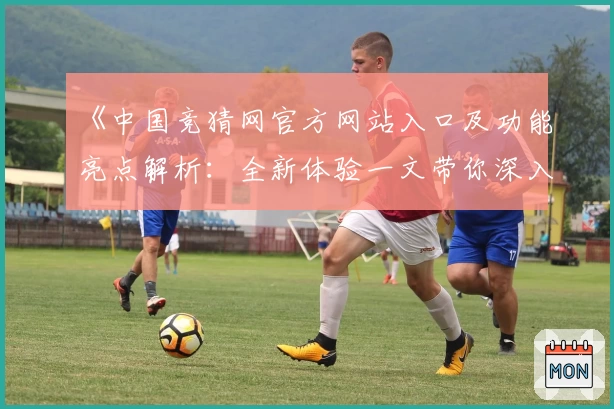 《中国竞猜网官方网站入口及功能亮点解析：全新体验一文带你深入了解》