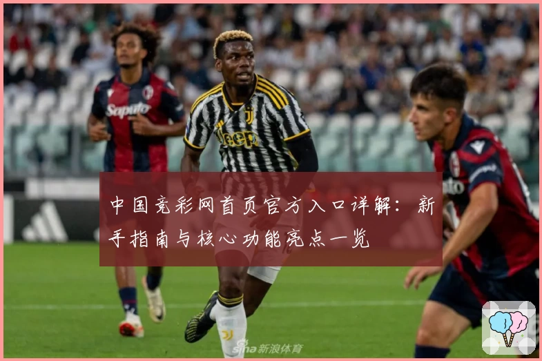 中国竞彩网首页官方入口详解：新手指南与核心功能亮点一览