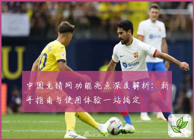 中国竞猜网功能亮点深度解析：新手指南与使用体验一站搞定