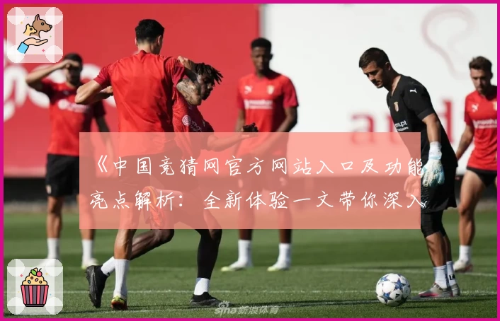 《中国竞猜网官方网站入口及功能亮点解析：全新体验一文带你深入了解》