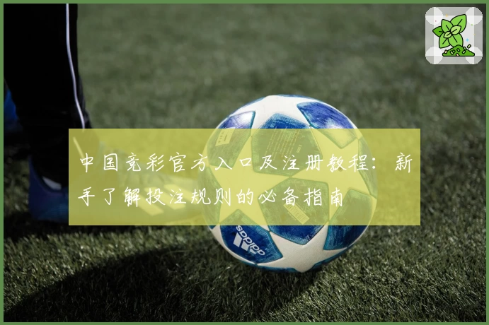 中国竞彩官方入口及注册教程：新手了解投注规则的必备指南